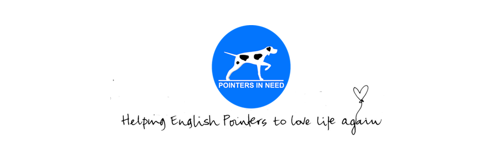 PointersInNeed's profile banner image