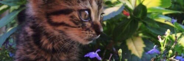 Mt3bix's profile banner image