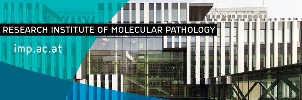 IMPvienna Profile Banner
