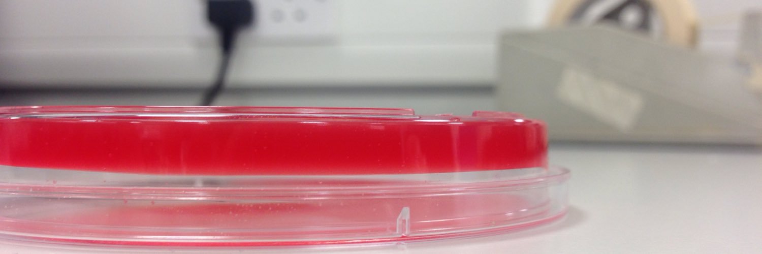 Hannah Tanner banner