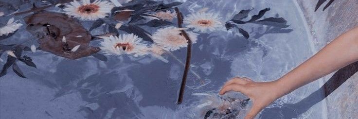 useumxkkot's profile banner image