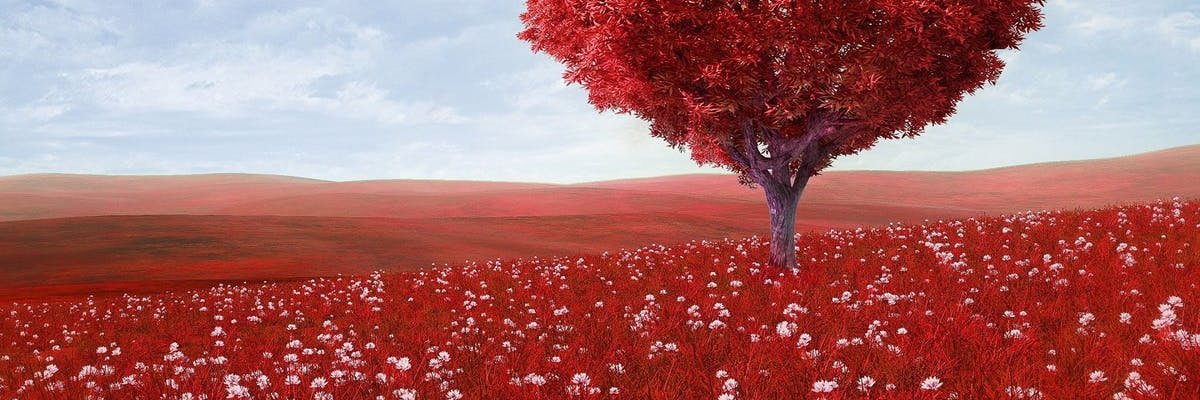 benogham's profile banner image
