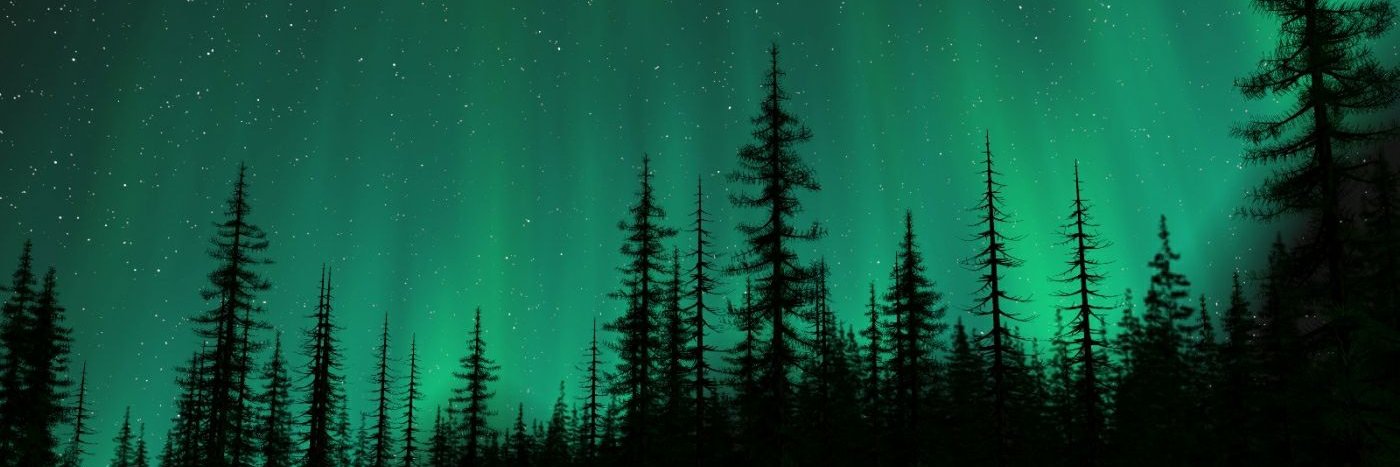 sidneyjgrj's profile banner image