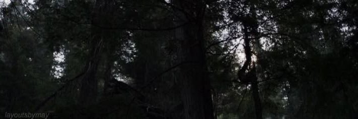 ϻεlσdψ ϻλгsнλll ™️ banner