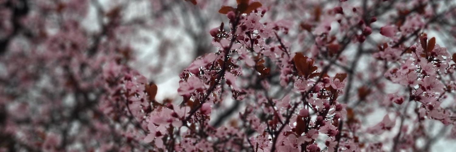 ayahya82's profile banner image