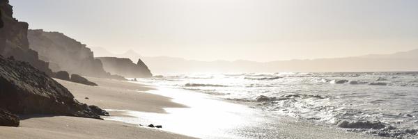 RayChaplin Profile Banner