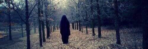 shaghaf16's profile banner image