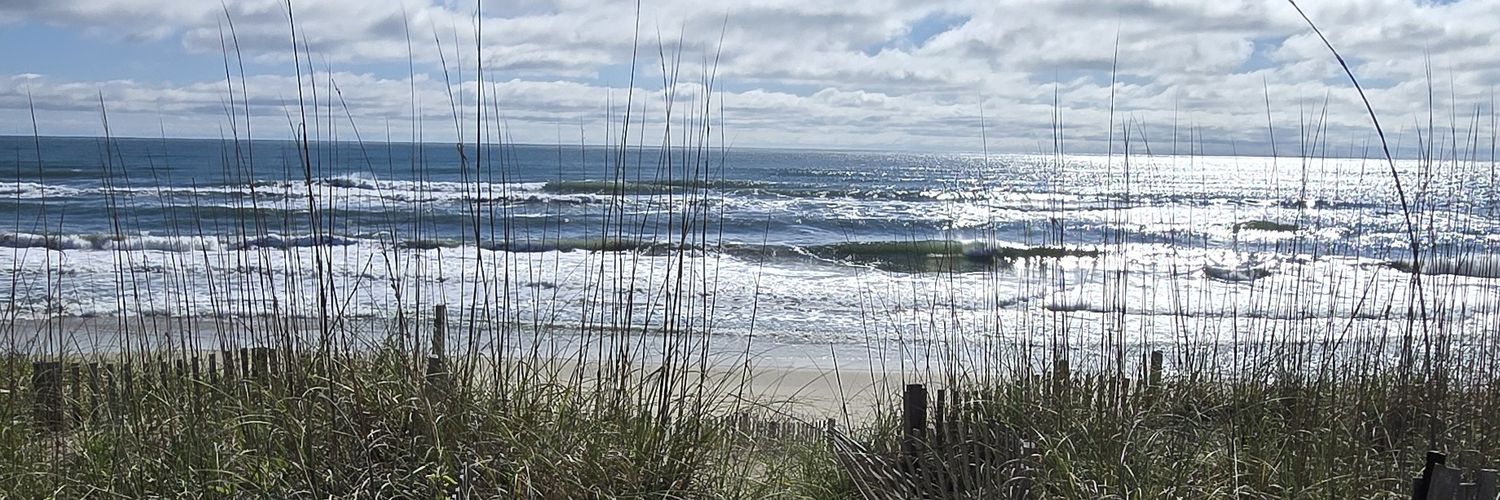 Brandon Mihok banner