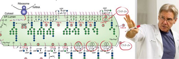 SFGlycobiology Profile Banner