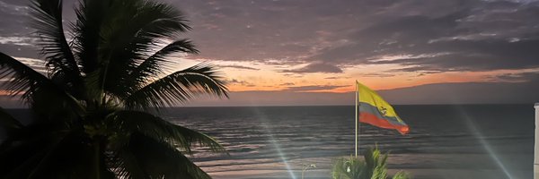 FFLORESV Profile Banner