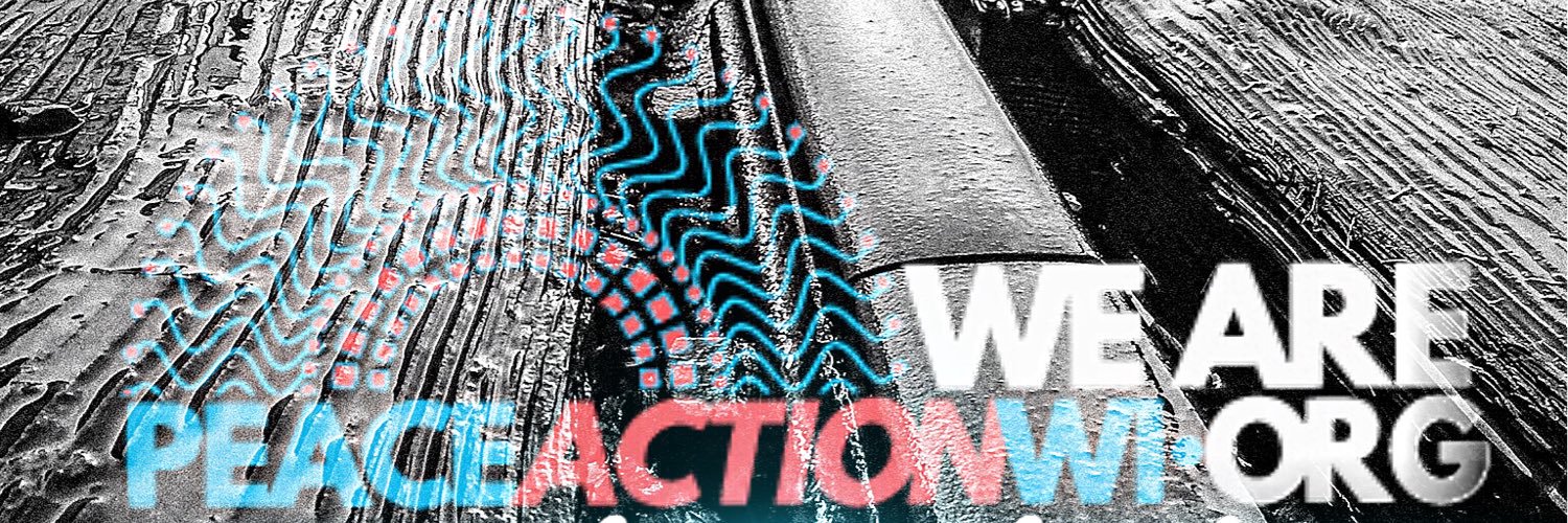 Peace Action WI banner
