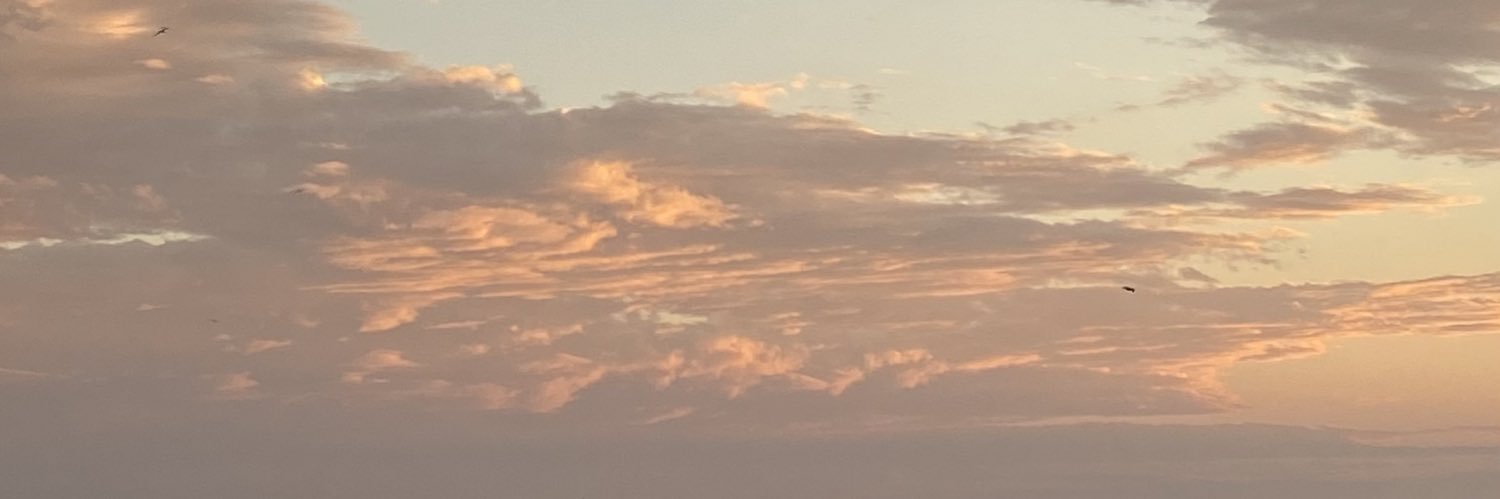 Zuka_am's profile banner image