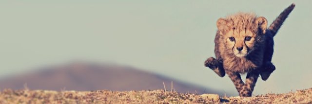 KyleJohnson_13's profile banner image
