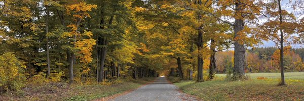 jowenpetty Profile Banner