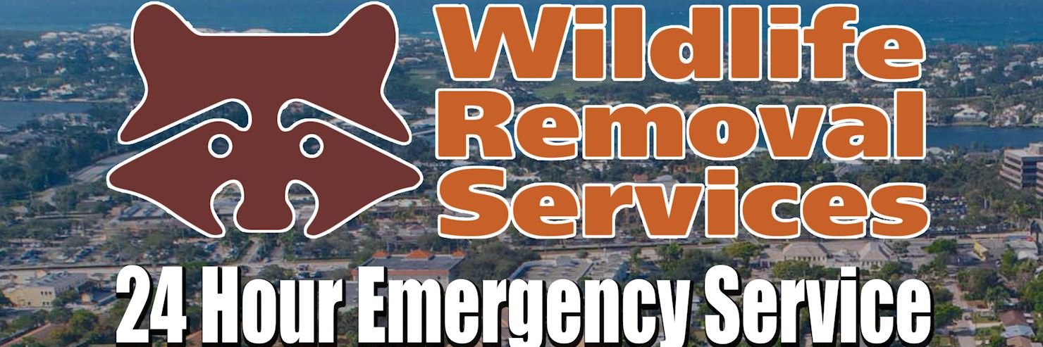 wildlifecorp's profile banner image