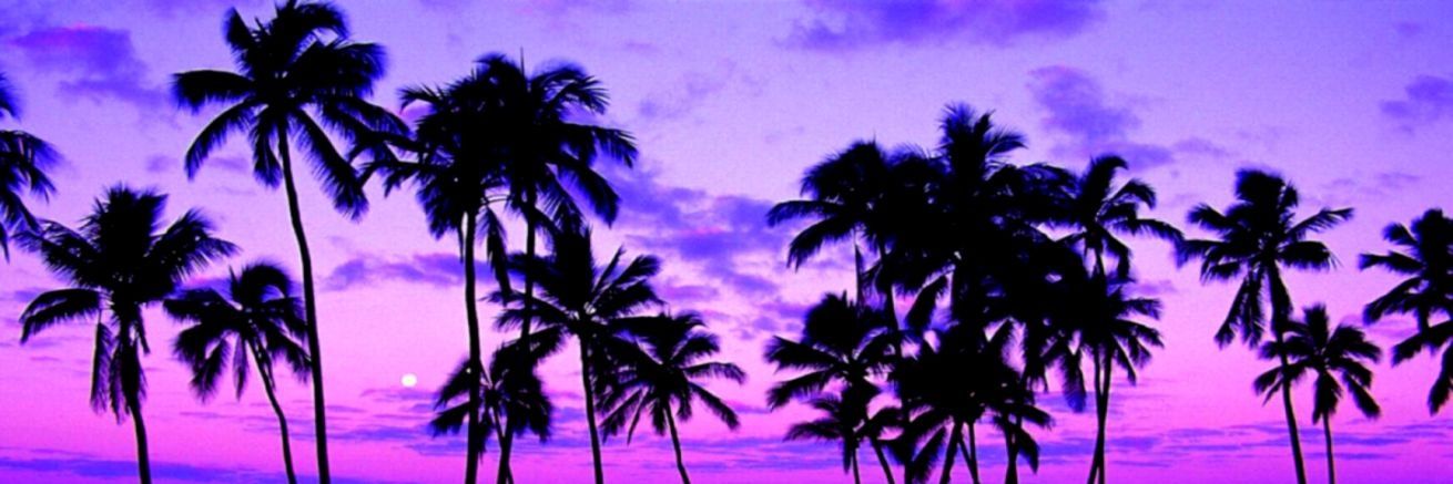 Violet Little Dandy Rotor banner