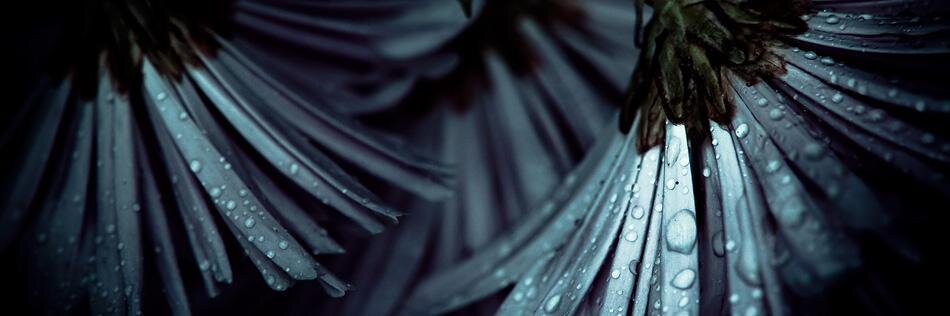 vbeaufrere's profile banner image