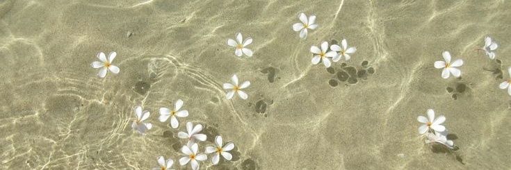 Era banner
