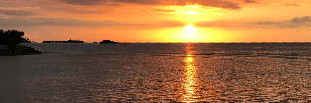 Shaunjaye Mitchell banner