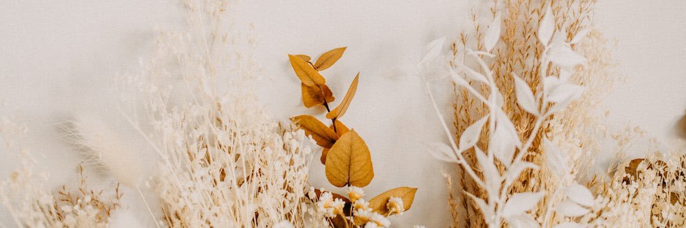 madisonleigh1's profile banner image