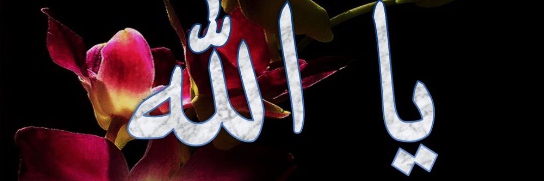 aborady2311's profile banner image