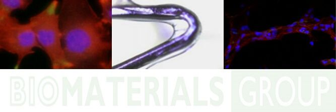 Biomaterials ICTP banner