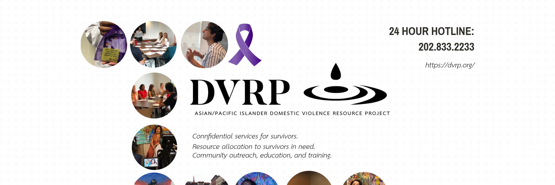 A/PI DVRP banner