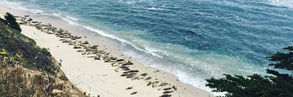 uhhhlyssaa's profile banner image