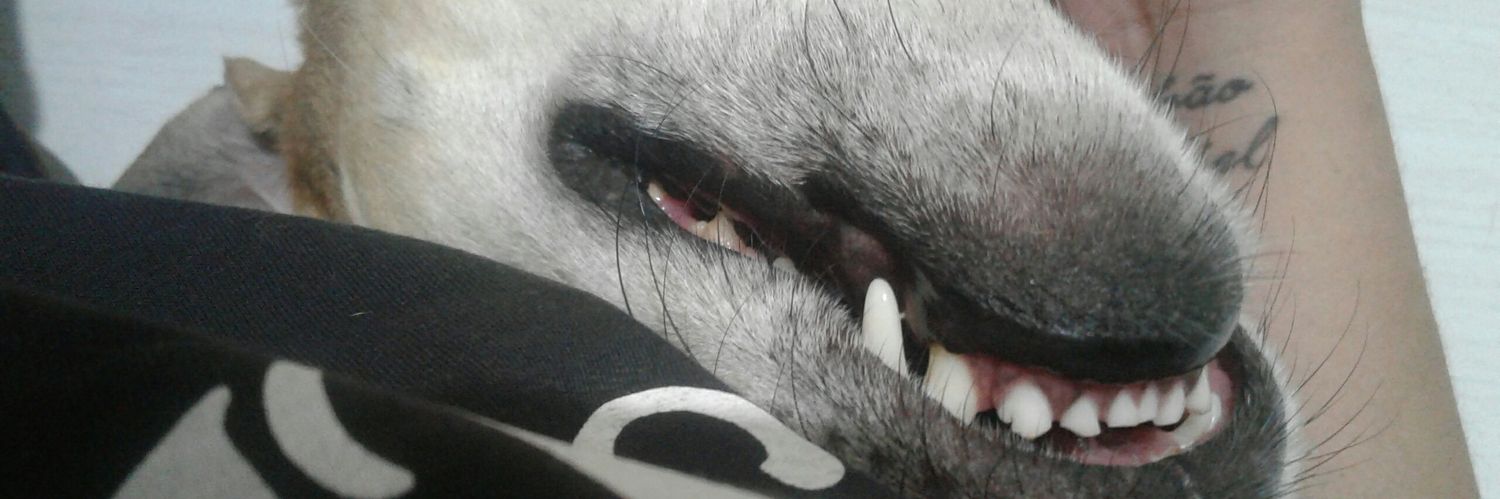 BoraXena's profile banner image