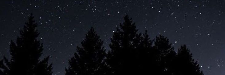 wydtj_'s profile banner image