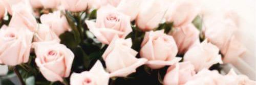 ccounts94's profile banner image