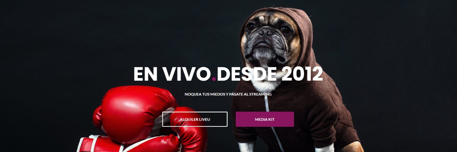 Pevype's profile banner image