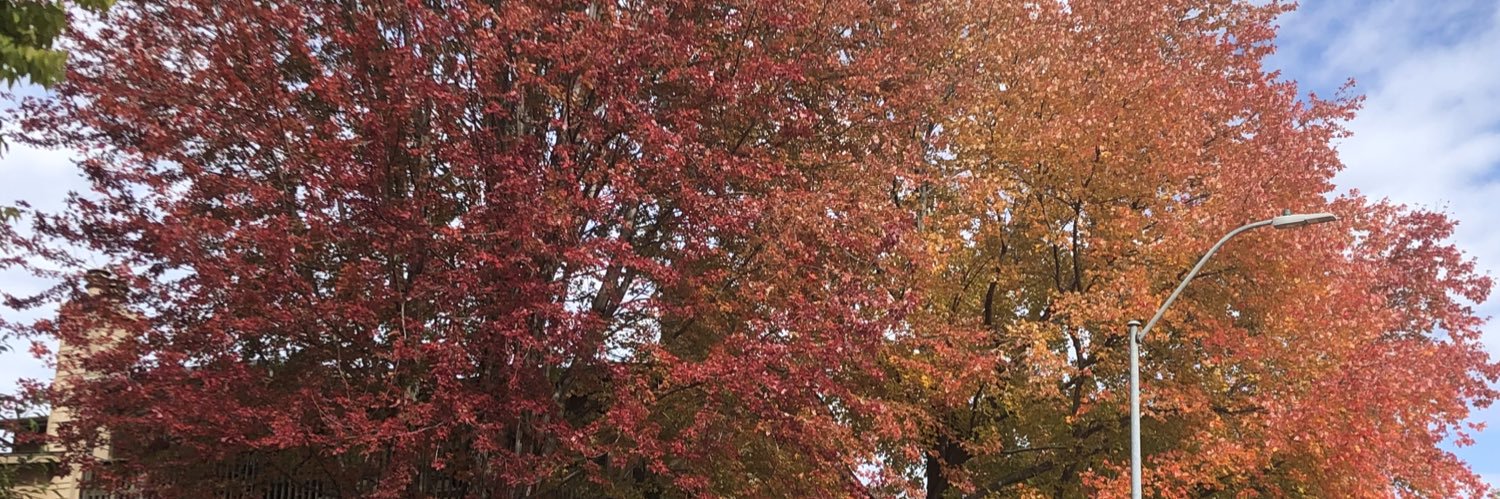 brianconley55's profile banner image