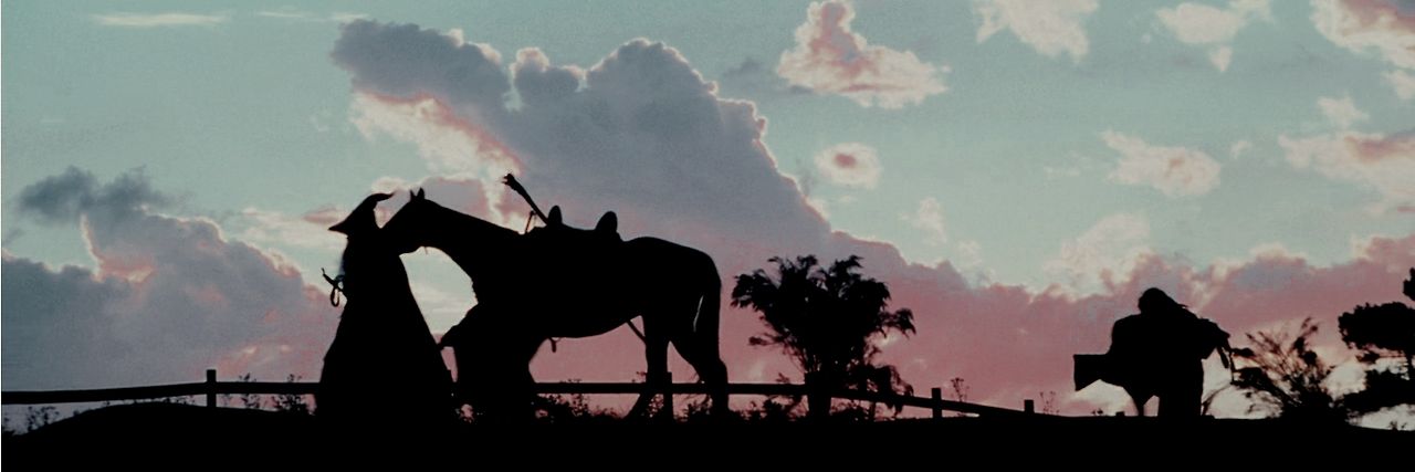 wholokis's profile banner image