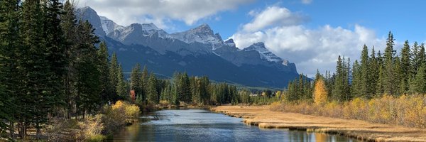 CTVIanWhite Profile Banner