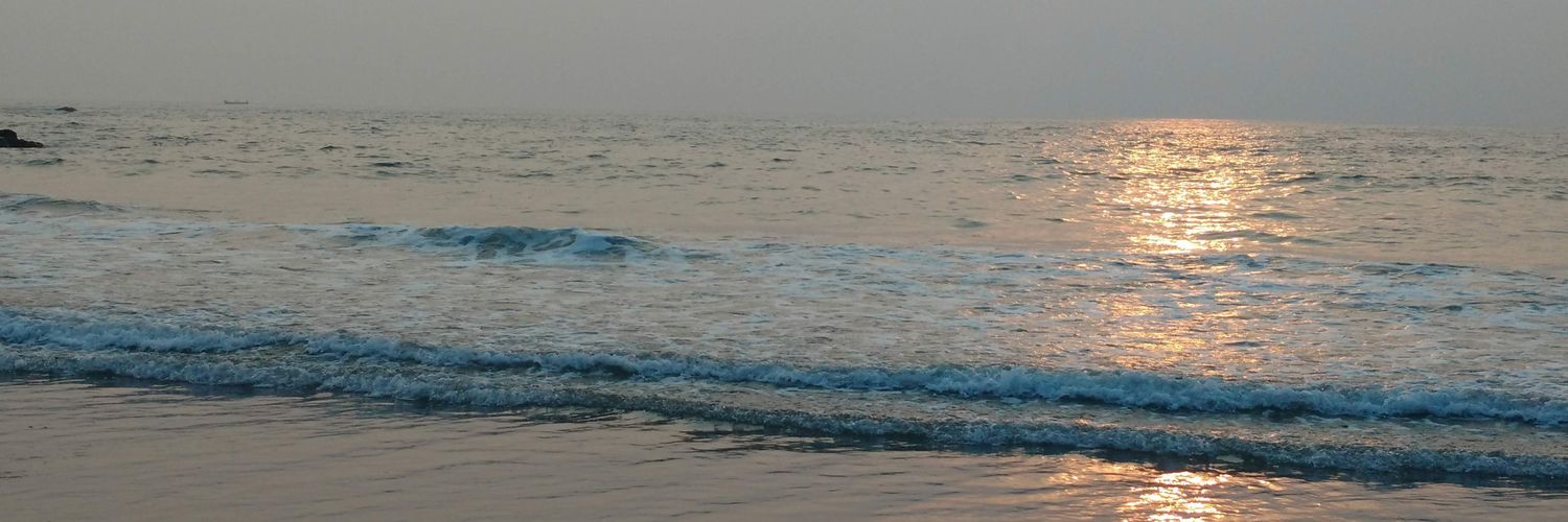 salonee__'s profile banner image