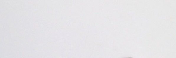 eibush1's profile banner image