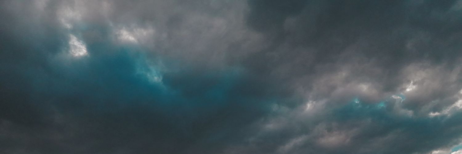 leoslenz's profile banner image