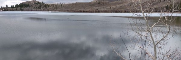 bendodge Profile Banner