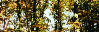 VFPA23150's profile banner image