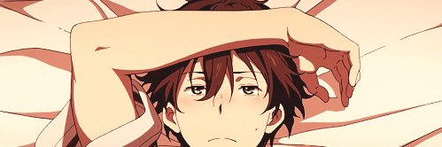RobyBoy banner
