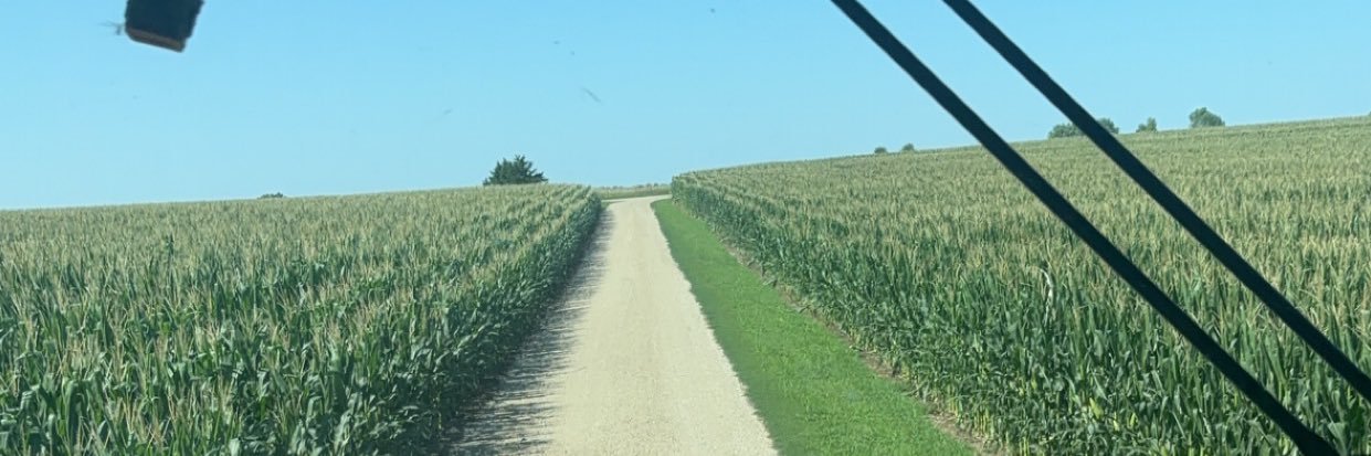 RickyKnecht's profile banner image