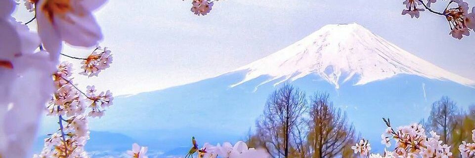 C2O__'s profile banner image