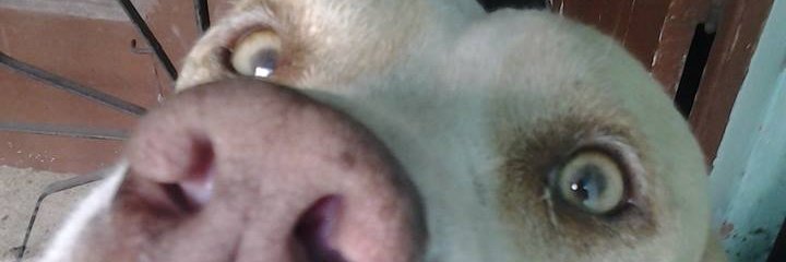 MarcusVBFreire's profile banner image