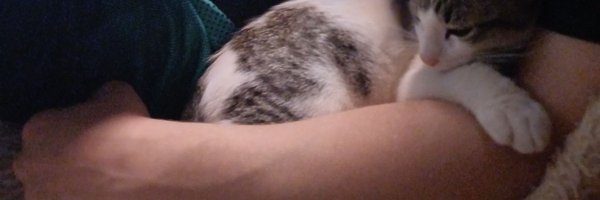 jengenn Profile Banner