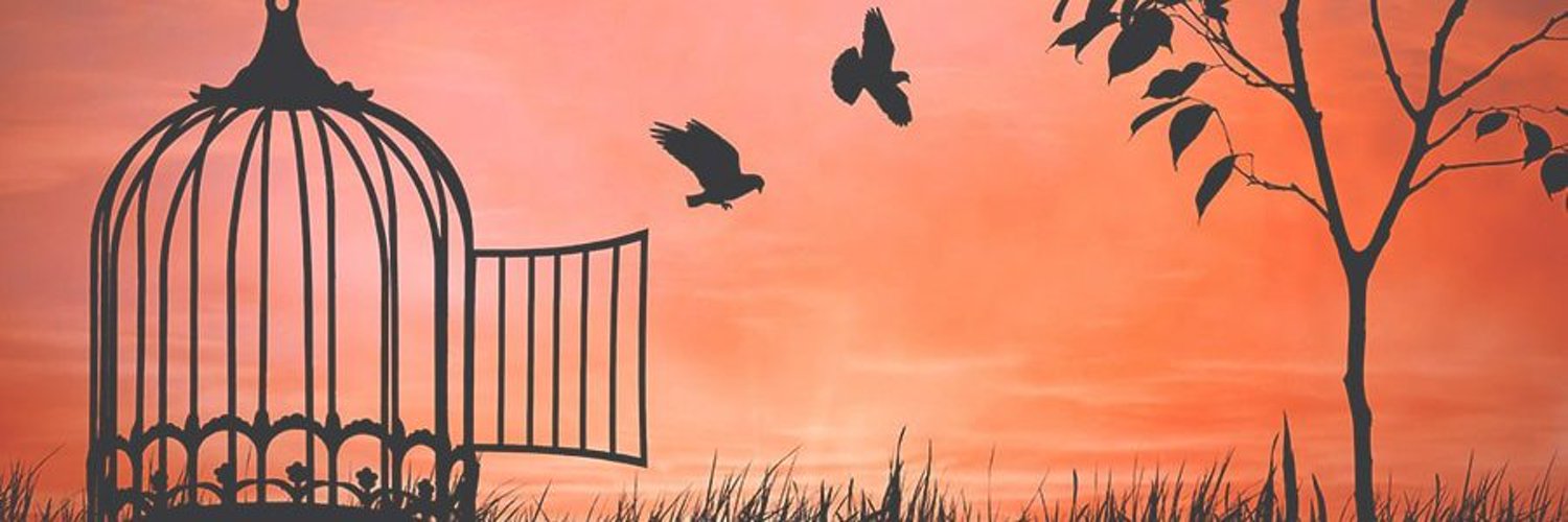 FrostW55's profile banner image