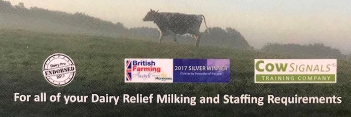 ReliefMilker's profile banner image