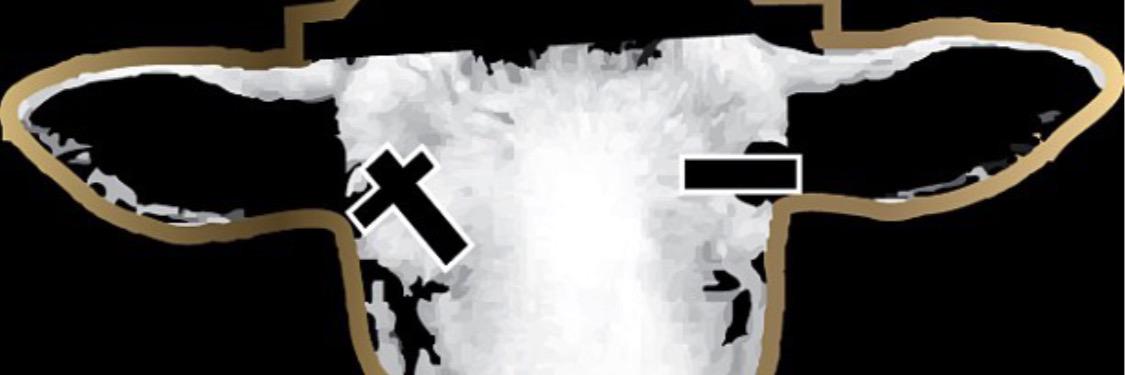 Docwitnh's profile banner image