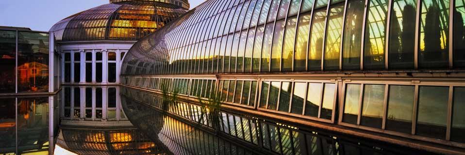 MUHAMMAD MUNEER banner