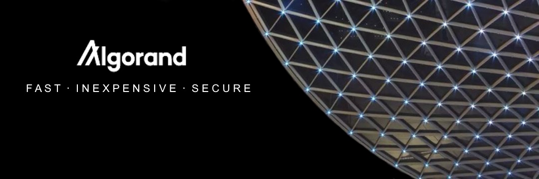 The Ⱥlgorand Report ~ 🐍 banner